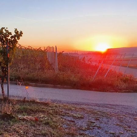 Apartament Weingut Will Und Wuerz Lemberger Schwaigern Zewnętrze zdjęcie