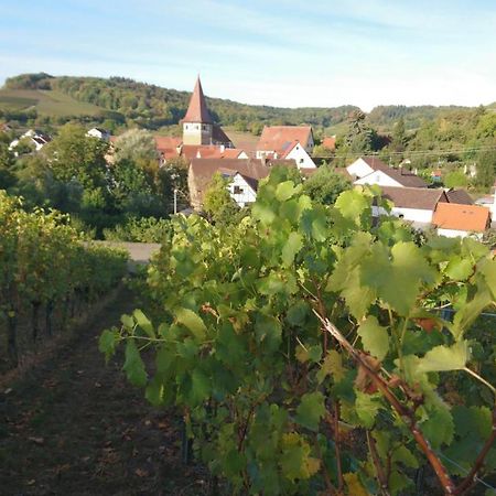 Apartament Weingut Will Und Wuerz Lemberger Schwaigern Zewnętrze zdjęcie